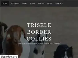 Sites similar to trisklebordercollie.com