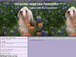 Sites similar to trisongtibetans.com