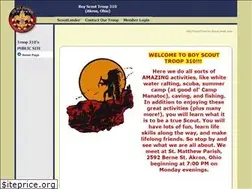Sites similar to troop310.net