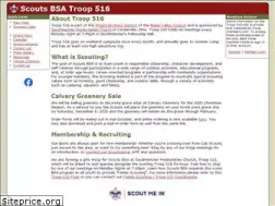 Sites similar to troop516.org