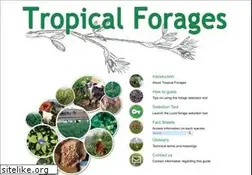 Sites similar to tropicalforages.info