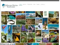 Sites similar to tropicbirds.org