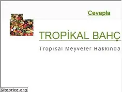 Sites similar to tropikalbahce.com