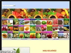Sites similar to tropikalmeyveler.com