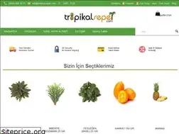 Sites similar to tropikalsepet.com