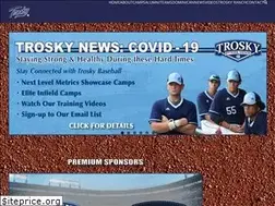 Sites similar to troskybaseball.com