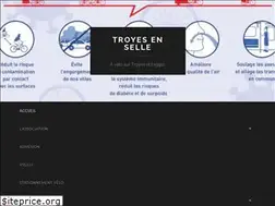 Sites similar to troyesenselle.fr