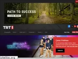 Sites similar to trt1.com.tr