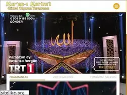 Sites similar to trt1tilavet.com