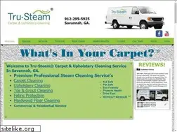 Sites similar to tru-steam.com