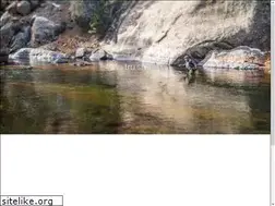 Sites similar to tru.sh