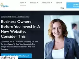 Sites similar to trubluwebconsulting.com