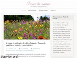 Sites similar to trucs-de-nanas.be