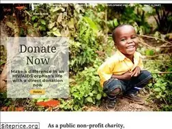 Sites similar to trueafrica.org