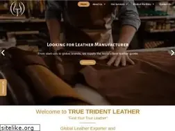 Sites similar to truetridentleather.com