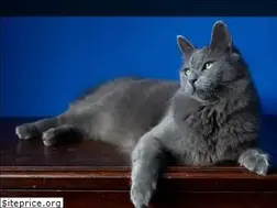 Sites similar to truevinecattery.com