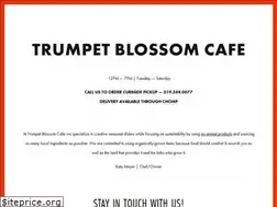 Sites similar to trumpetblossom.com