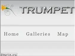 Sites similar to trumpetflowers.com