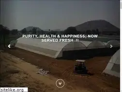 Sites similar to trunksandroots.com
