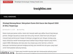 Sites similar to trusightinc.com