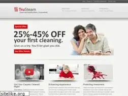 Sites similar to trusteamclean.com