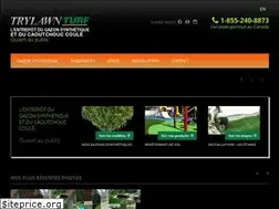 Sites similar to trylawnturf.ca