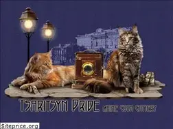 Sites similar to tsaritsynpride.ru