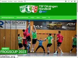 Sites similar to tsf-ditzingen-handball.de