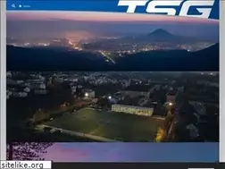 Sites similar to tsg-reutlingen.de