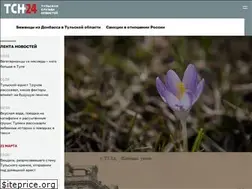Sites similar to tsn24.ru