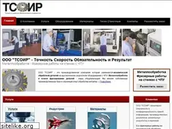 Sites similar to tsoir.ru