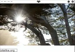 Sites similar to tsra.org