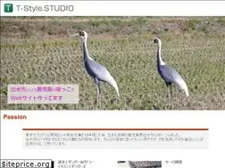 Sites similar to tstylestudio.com