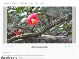 Sites similar to tsubaki-db.net