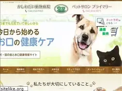 Sites similar to tsuchiya-juui.com