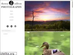 Sites similar to tsullivanphotography.com