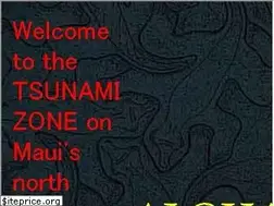 Sites similar to tsunami-zone.com