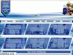 Sites similar to tsunamivolleyball.com