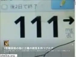 Sites similar to tsunehirokawa.com