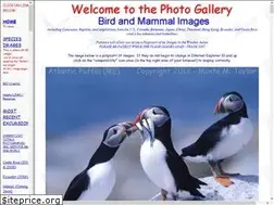 Sites similar to tsuru-bird.net