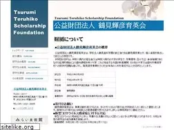 Sites similar to tsurumi-ikueikai.jp