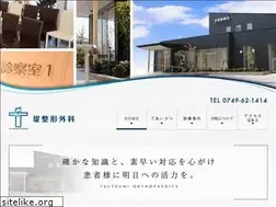 Sites similar to tsutsumi-seikei.jp