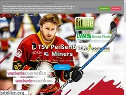 Sites similar to tsv-eishockey.de