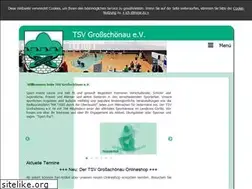 Sites similar to tsv-grossschoenau.de