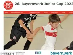 Sites similar to tsv-juniorcup.de