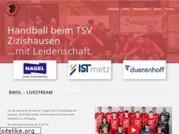 Sites similar to tsv-zizis.de