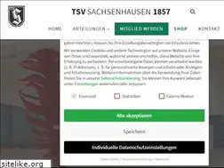 Sites similar to tsvsachsenhausen.de