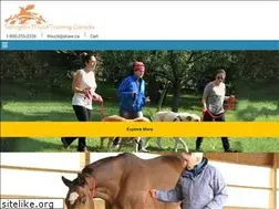 Sites similar to ttouch.ca