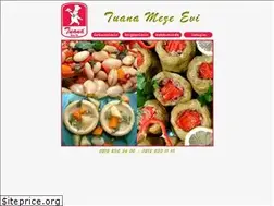 Sites similar to tuanamezeevi.com.tr