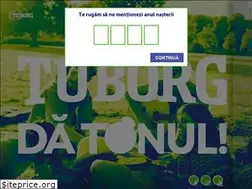 Sites similar to tuborg.ro
